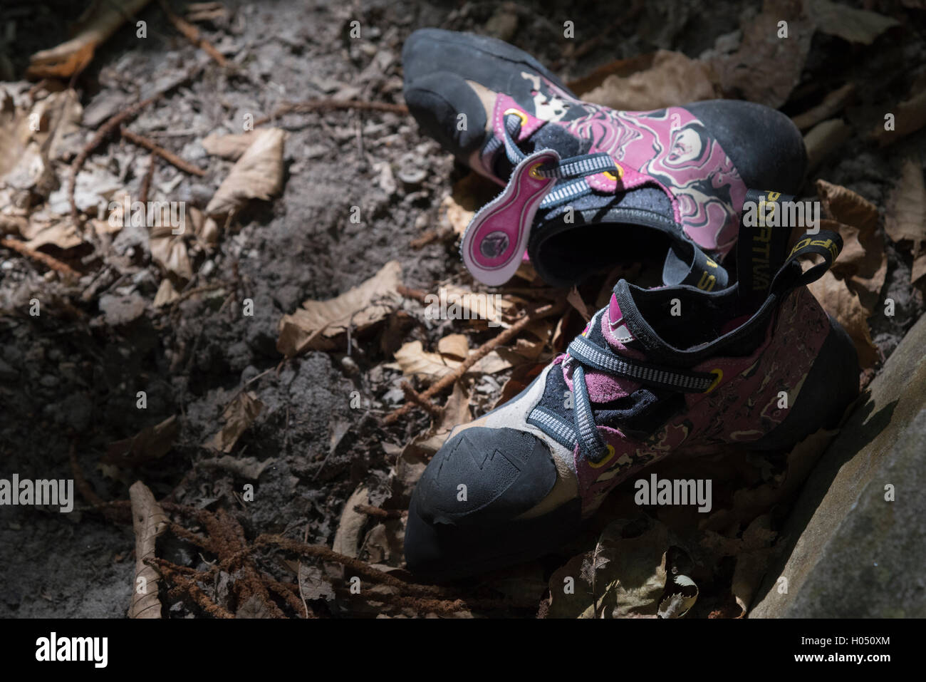 A scalatori (bouldering) rock scarpe nella foresta di Fontainebleau, Francia. Luce naturale, Rosa scarpe, sandy ground. Foto Stock