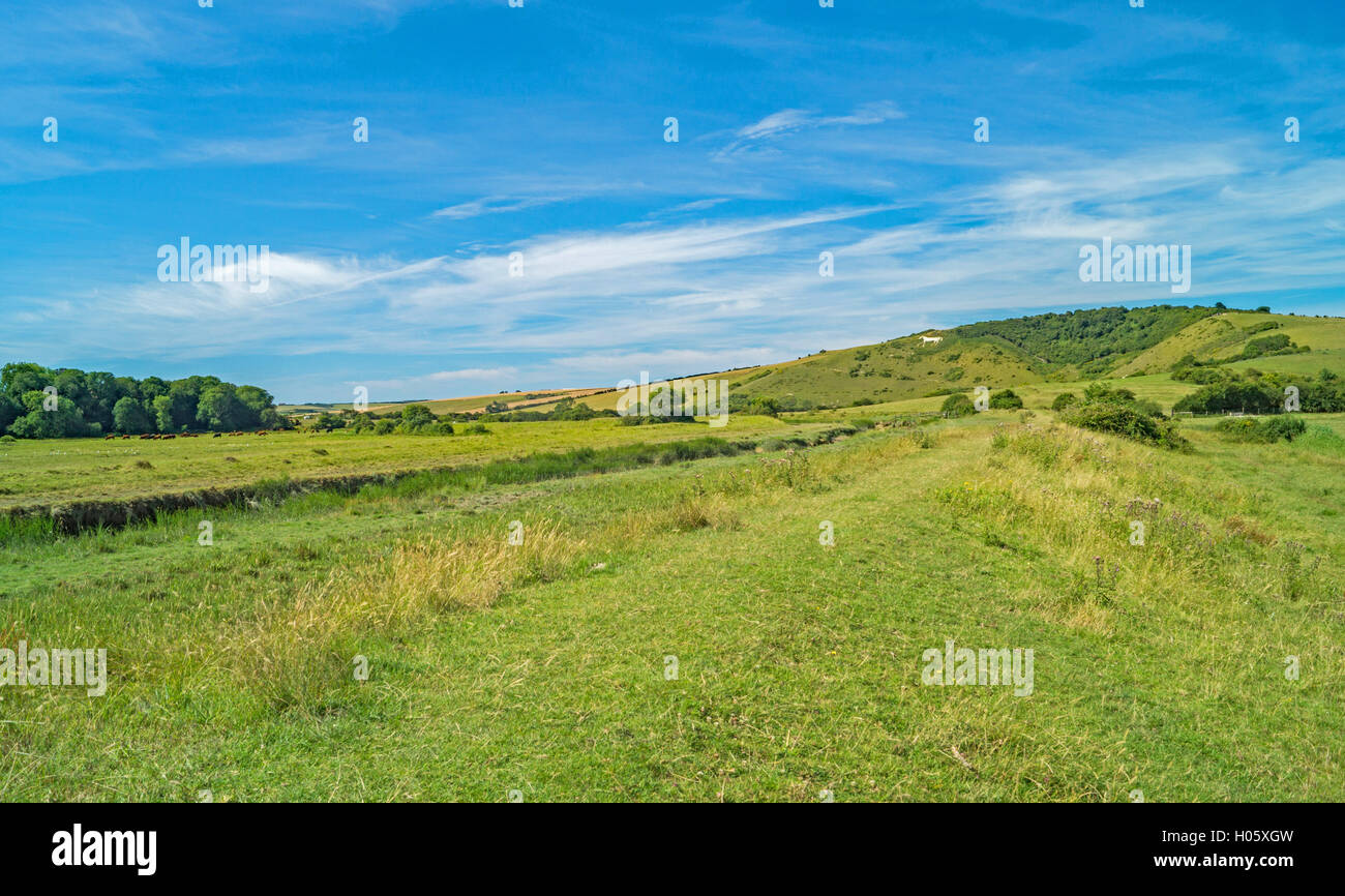 Un Cuckmere Valley View con il cavallo bianco sulla collina distante Foto Stock