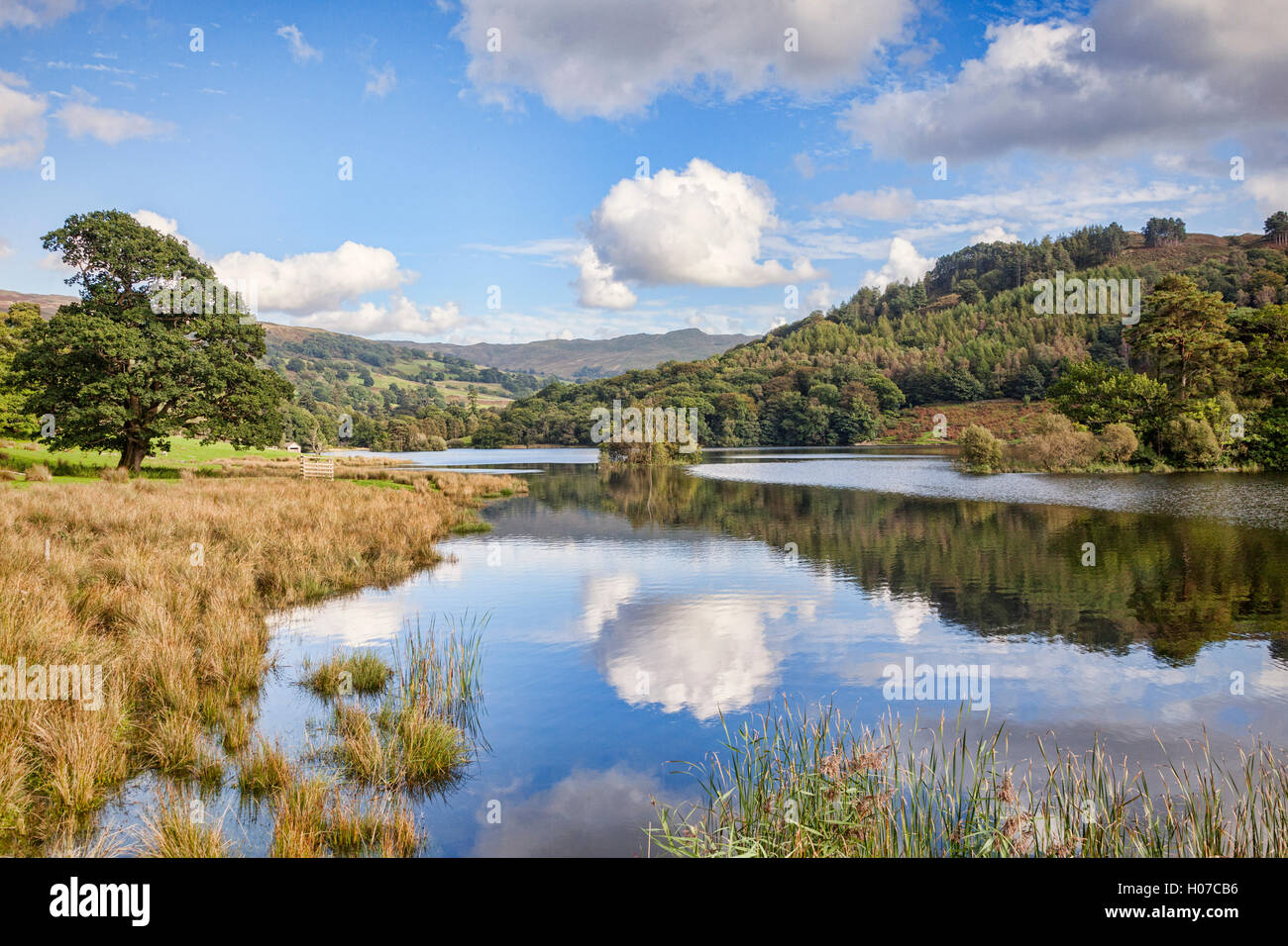 Rydal acqua, Parco Nazionale del Distretto dei Laghi, Cumbria, England, Regno Unito Foto Stock