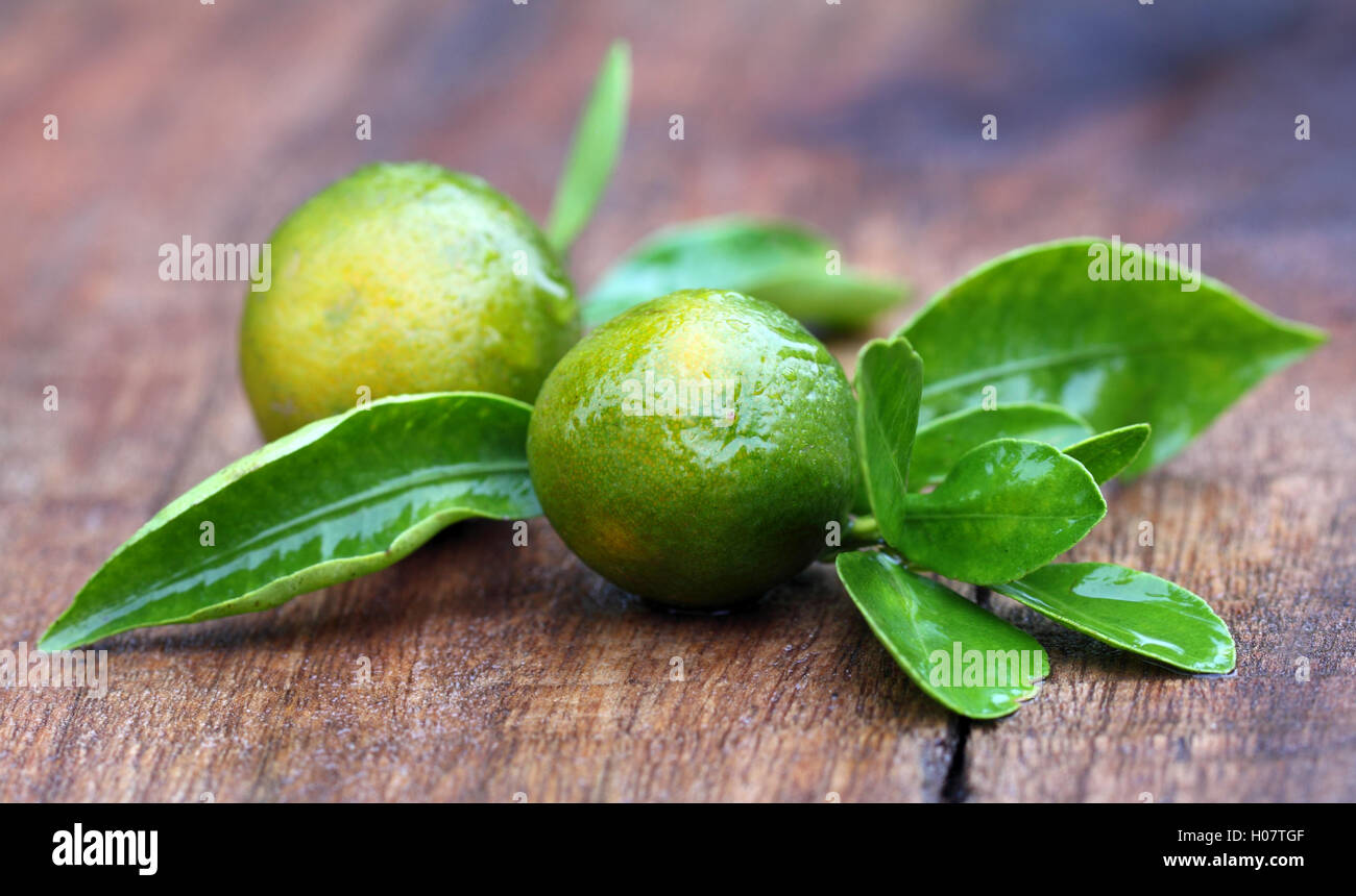 Arance fresche con foglie di colore verde Foto Stock