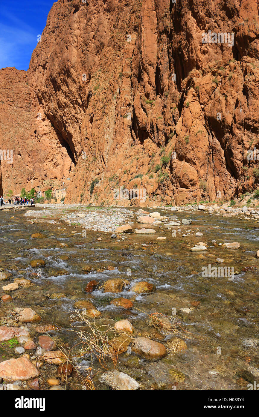 Ripide pareti del canyon in colorate Todra Gorge in Marocco Foto Stock