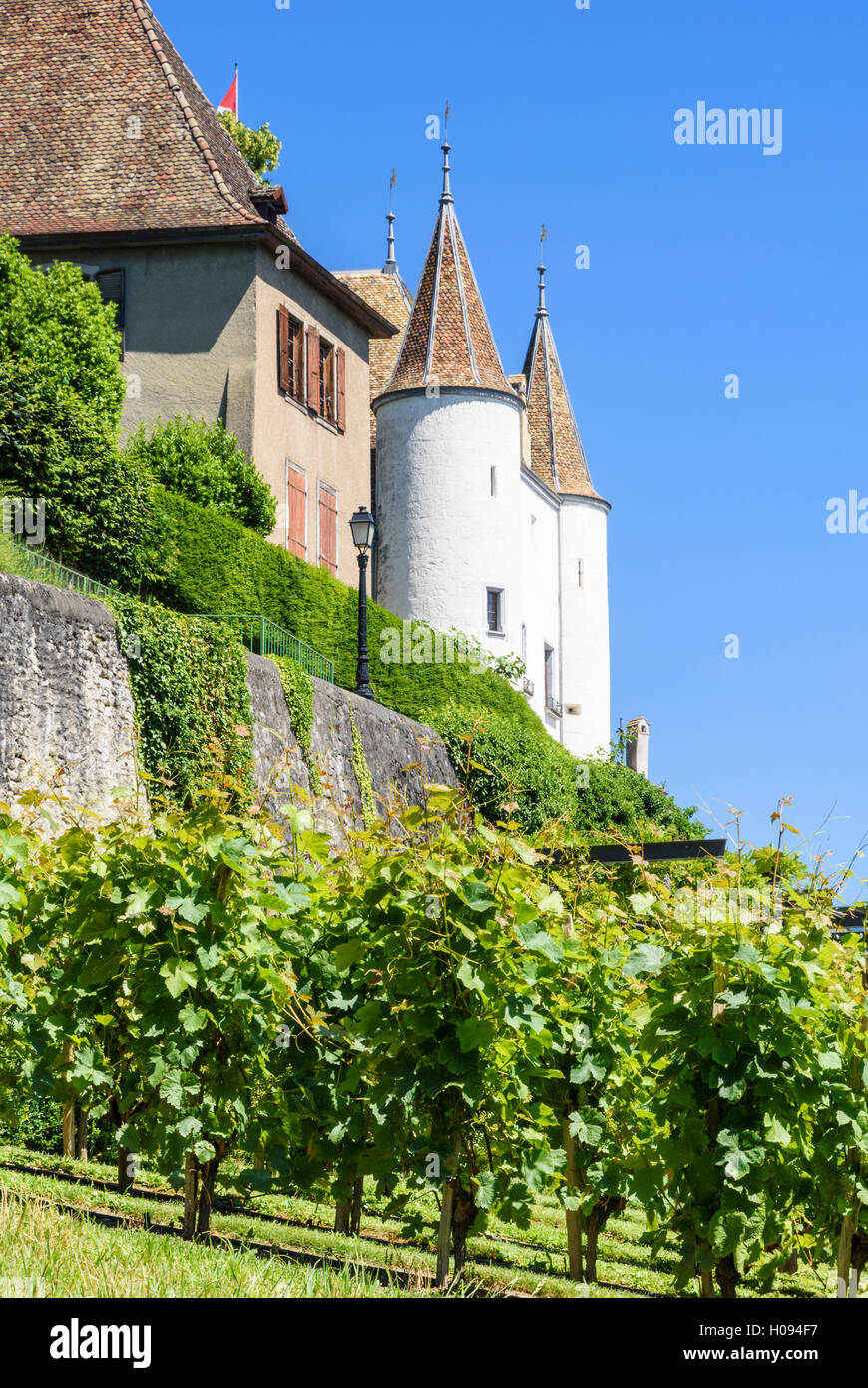 Vitigni sulle piste al di sotto del castello di Nyon, Nyon, Canton Vaud, Svizzera Foto Stock