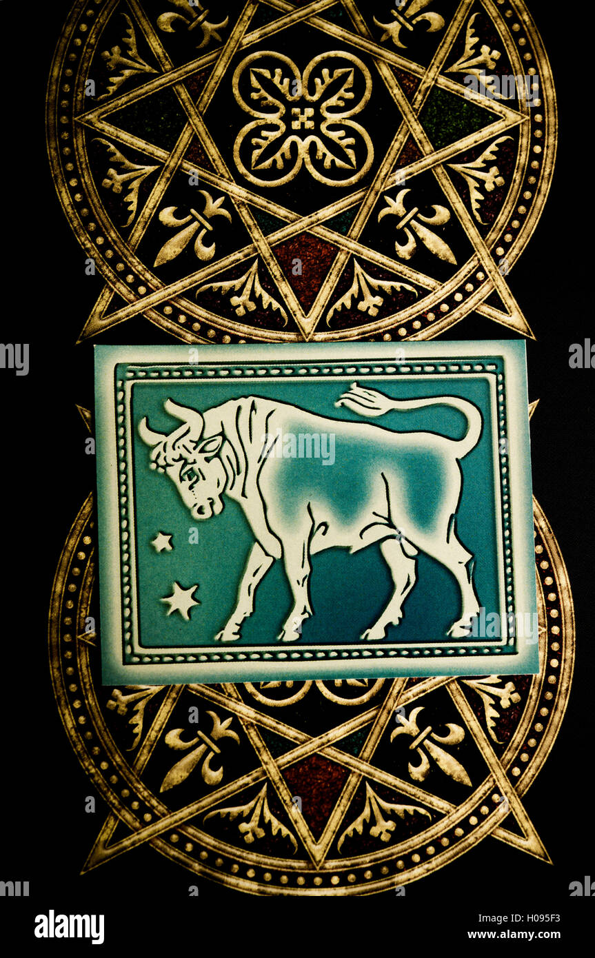 Taurus segno astrologico Foto Stock