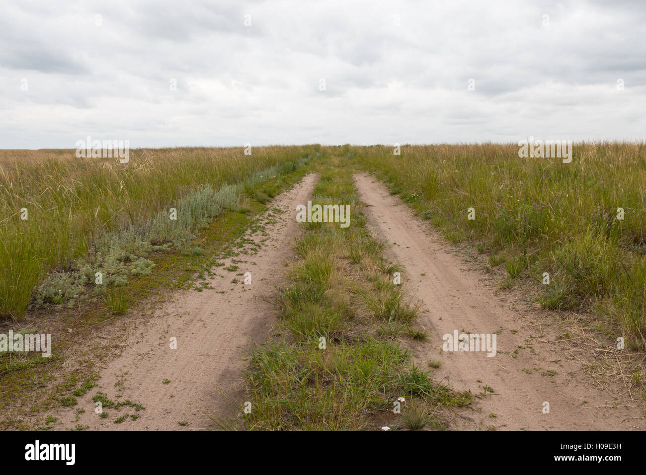 La strada può improvvisamente fine quando non ti aspetteresti Foto Stock