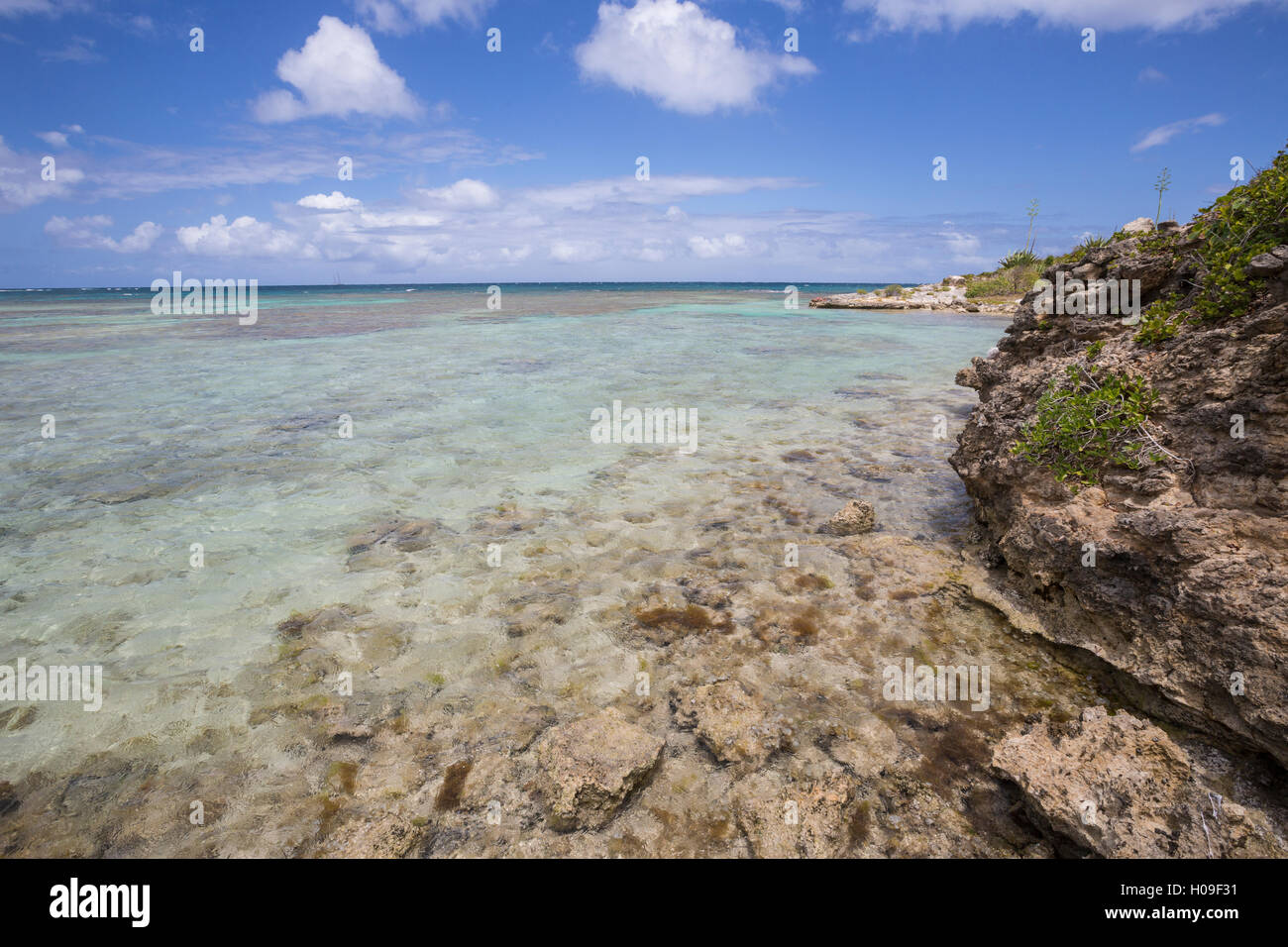 La tonalità turchese del Mare dei Caraibi visto da scogliere di Isola Verde, Antigua e Barbuda, Isole Sottovento Foto Stock
