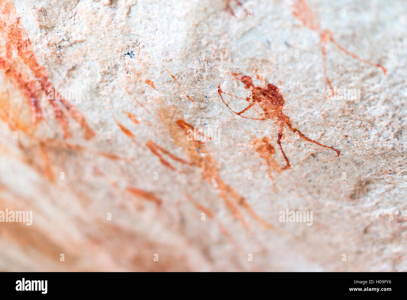 San arte rupestre pitture rupestri sulla parete di una sporgenza rocciosa del Cederberg, Western Cape, Sud Africa e Africa Foto Stock