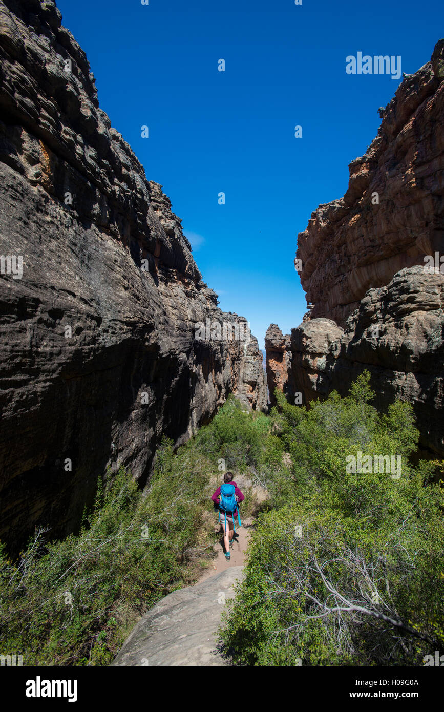 Trekking in montagna Cederberg, Western Cape, Sud Africa e Africa Foto Stock
