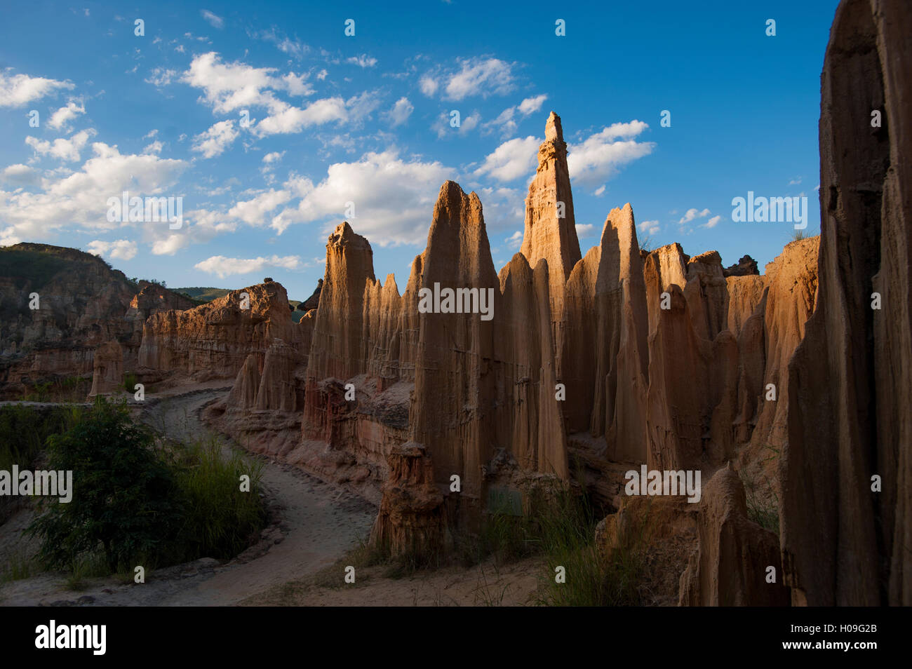 Il Yuanmou foresta di argilla in Cina è il meglio conservato esempio di questo tipo di paesaggio, Yuanmou, nella provincia dello Yunnan in Cina Foto Stock