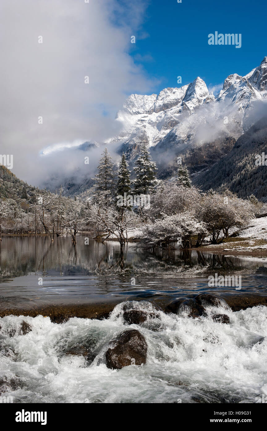 La mattina presto il gelo in Monte Siguniang, in una zona di straordinaria bellezza naturale nella provincia di Sichuan, in Cina, Asia Foto Stock