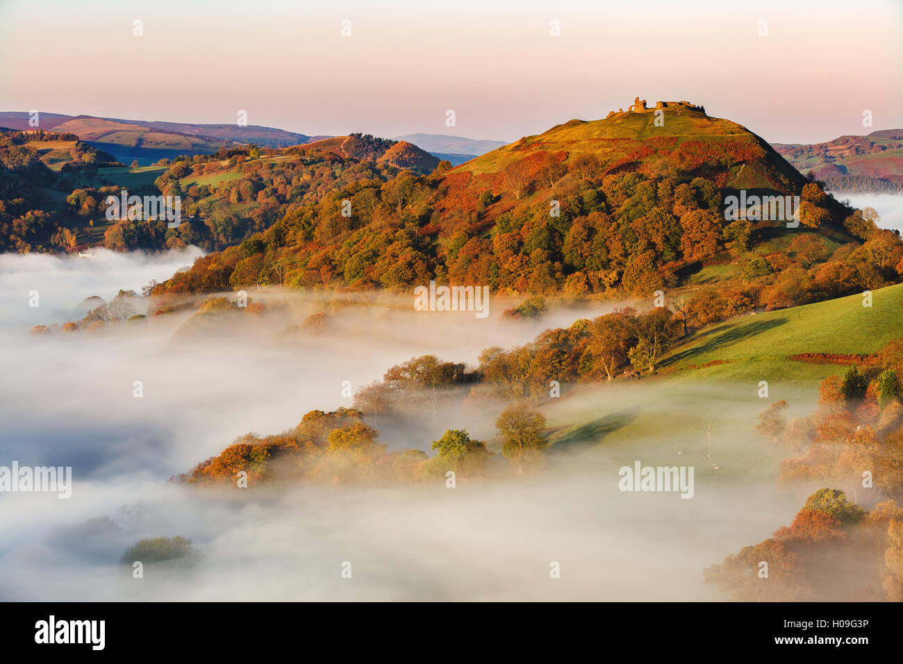 Il castello medievale di crusca di dinas in piedi sopra la foschia e la nebbia su una mattina autunnale, Denbighshire, Wales, Regno Unito, Europa Foto Stock