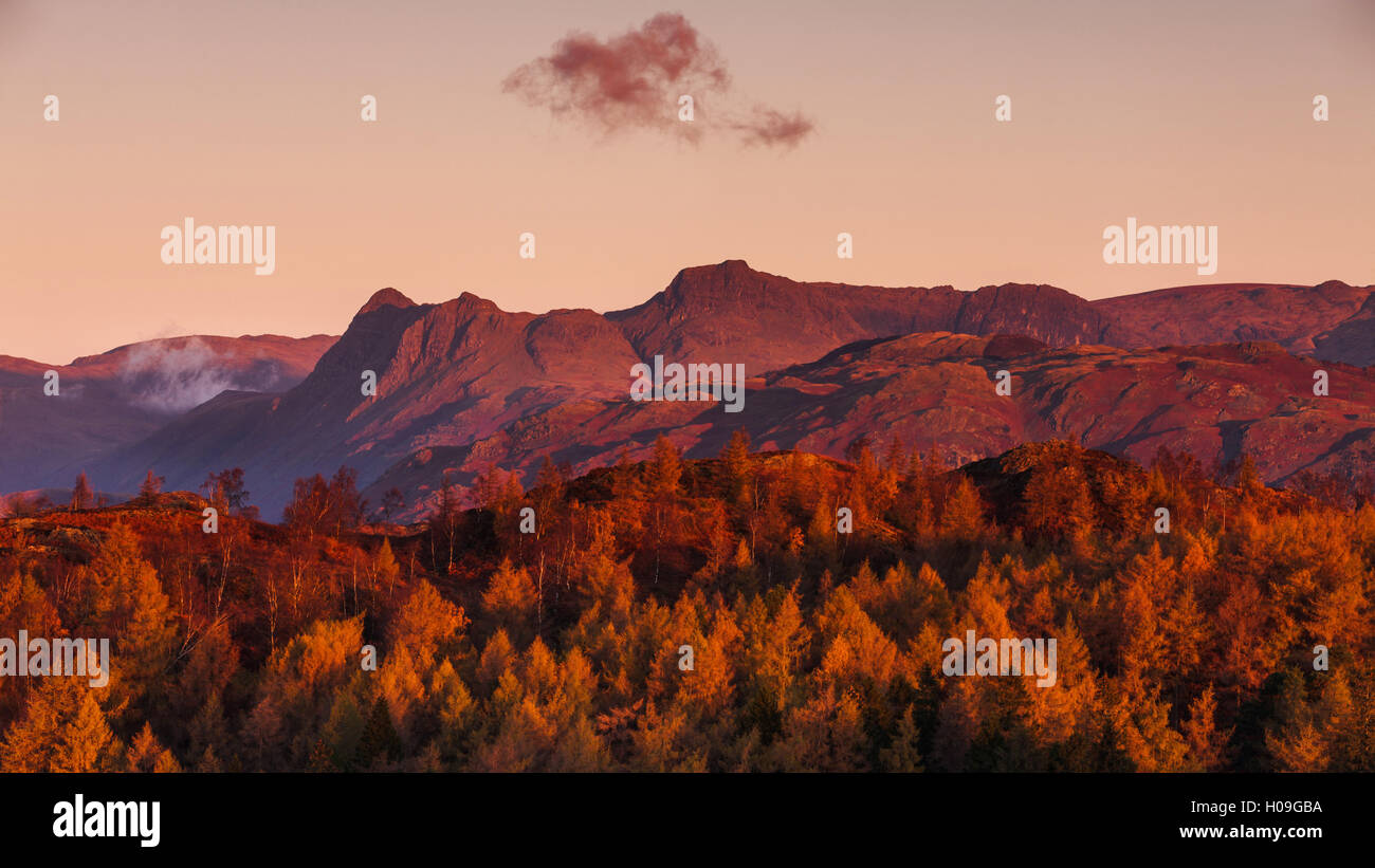 The Langdale Pikes accesa nel bagliore dorato di alba luce su una mattina di autunno nel Parco Nazionale del Distretto dei Laghi, Cumbria, Regno Unito Foto Stock