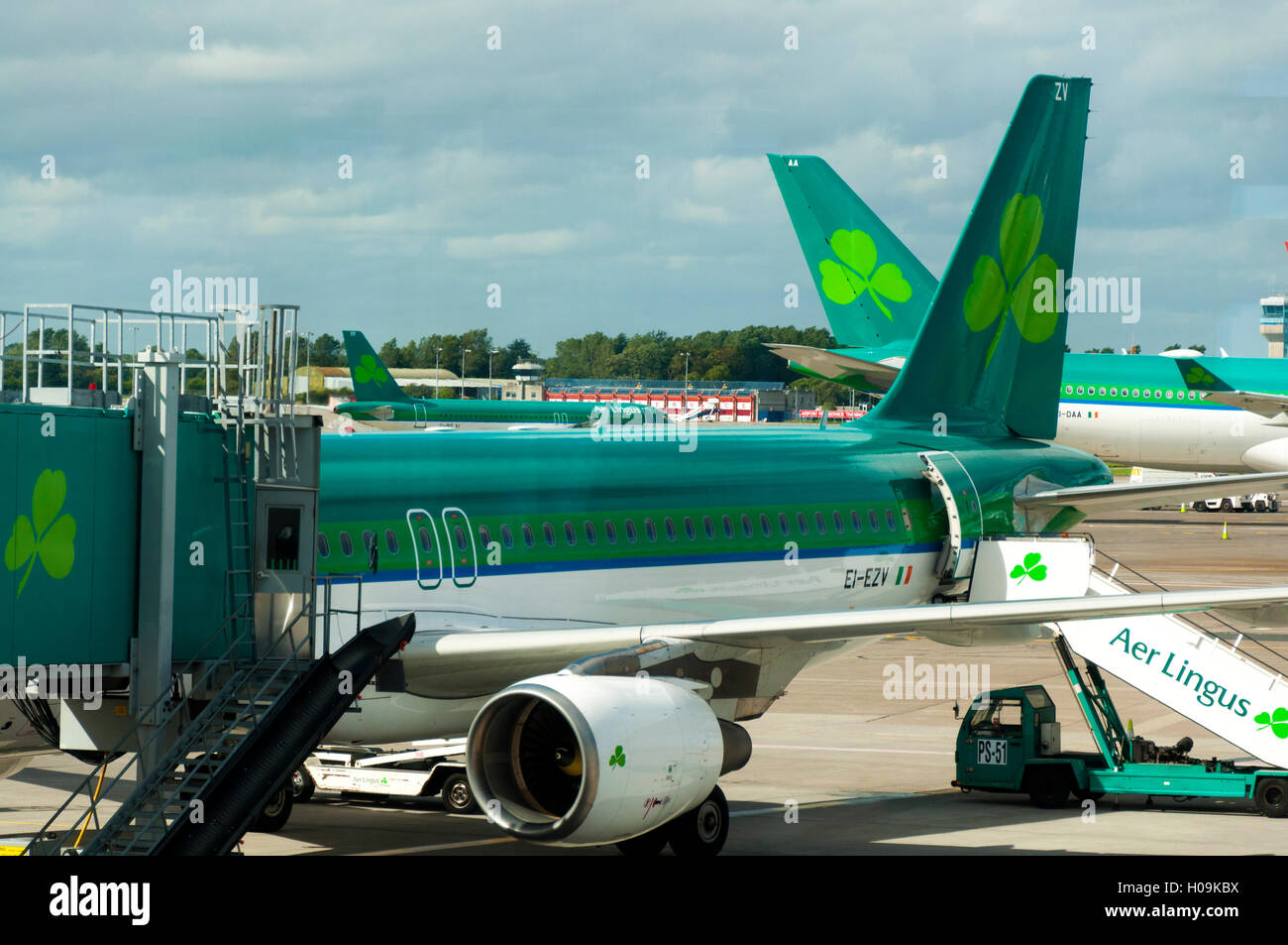 Dublin Airport Terminal Due. Aer Lingus aeromobile sul supporto in corrispondenza di una porta di imbarco Foto Stock