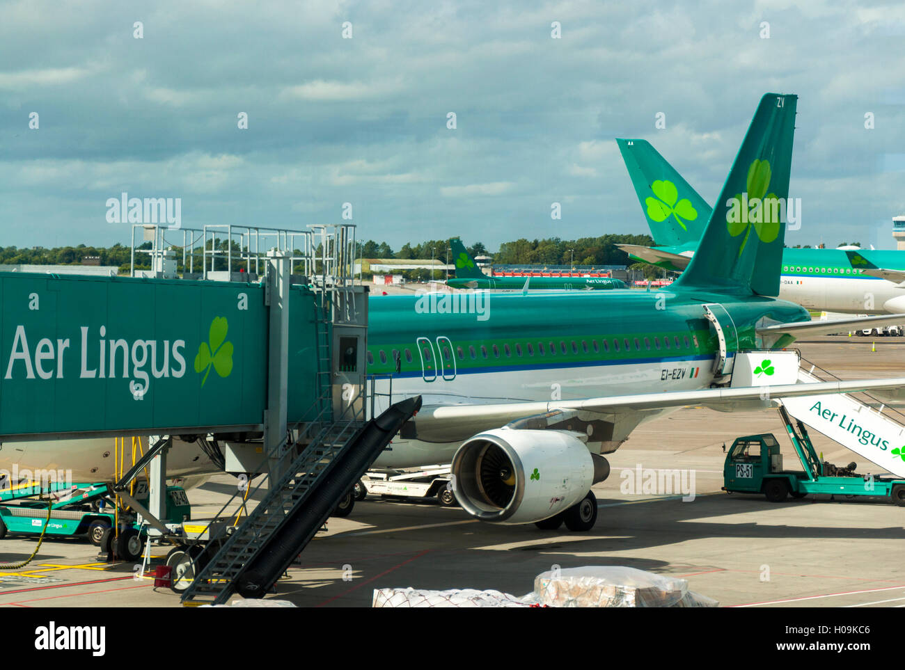 Dublin Airport Terminal Due. Aer Lingus aeromobile sul supporto in corrispondenza di una porta di imbarco Foto Stock