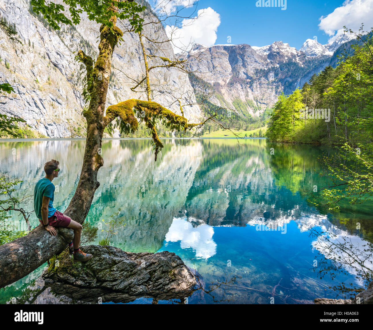 Giovane uomo seduto su albero sopra l'acqua, cercando in distanza, riflesso nel lago Obersee, Salet am Königssee Foto Stock