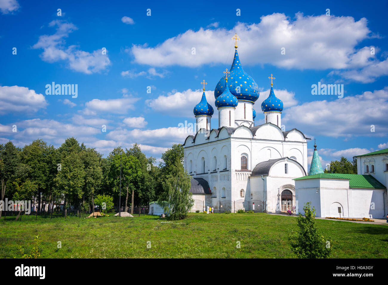 Cattedrale della Nativitys in Suzdal, Golden Ring, Russia Foto Stock