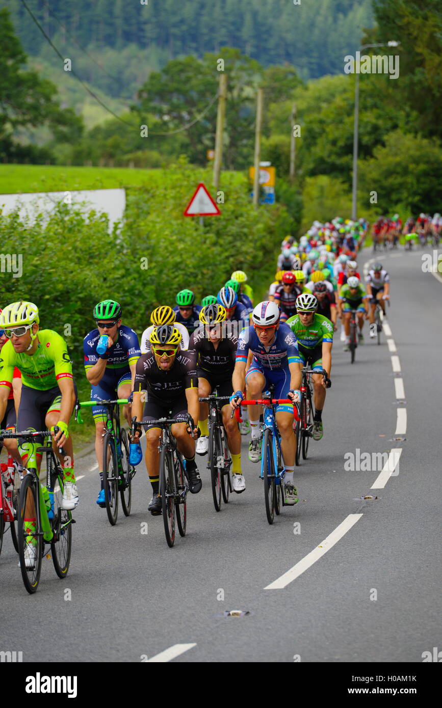 Ciclisti al Tour of Britain Cycle Race, Foto Stock