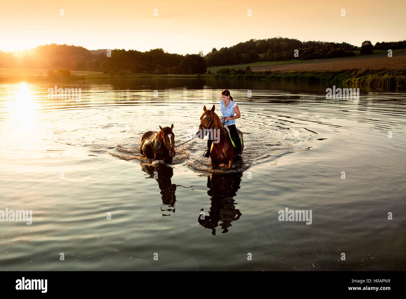 Donna con due cavalli in un lago al tramonto Foto Stock