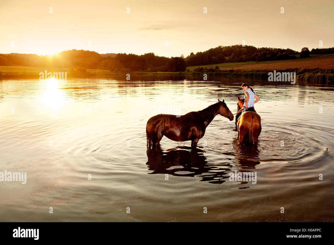 Donna con due cavalli in un lago al tramonto Foto Stock
