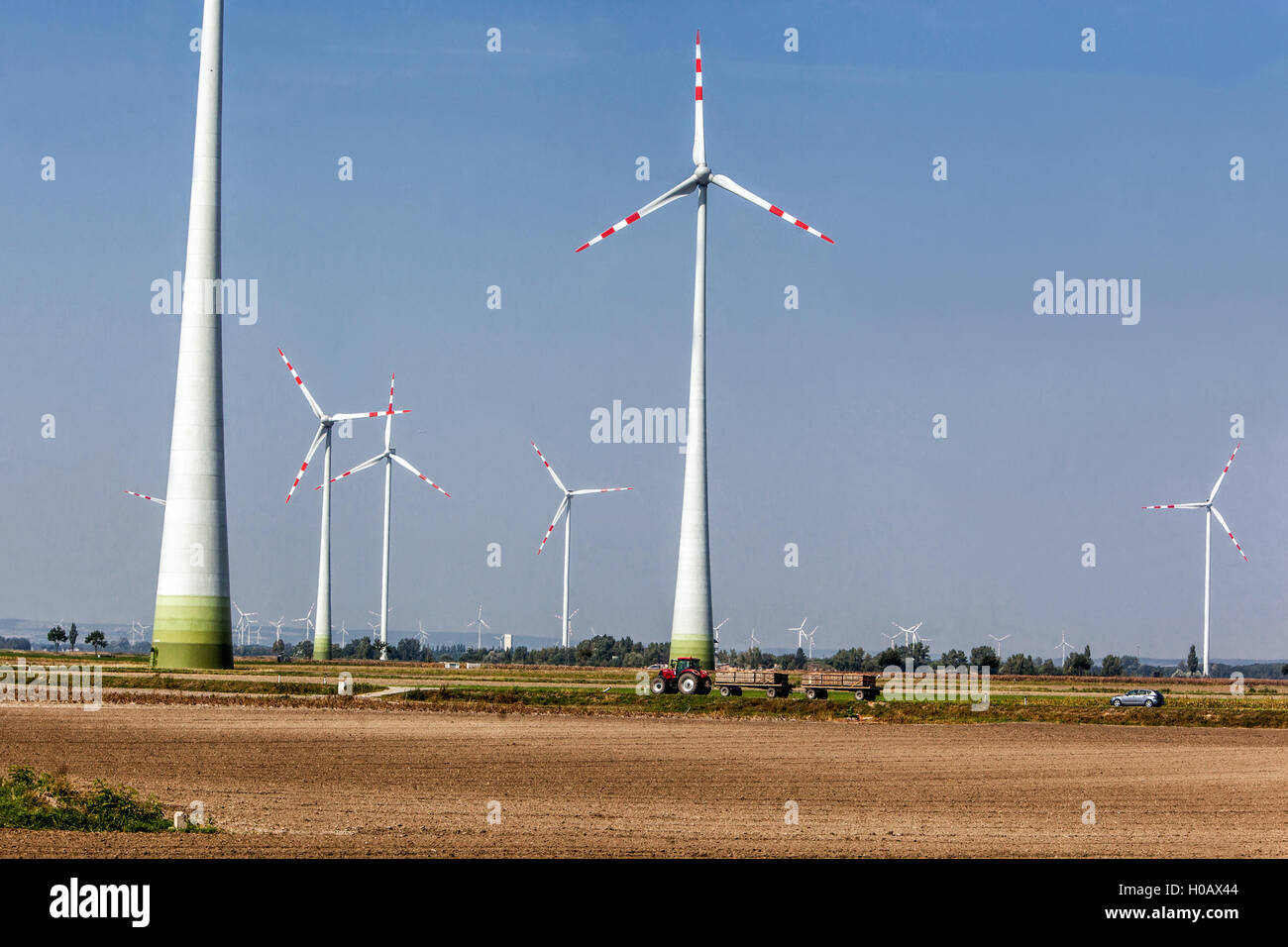 Energia alternativa, turbine eoliche, Windpark Obersiebenbrunn, Austria inferiore Foto Stock