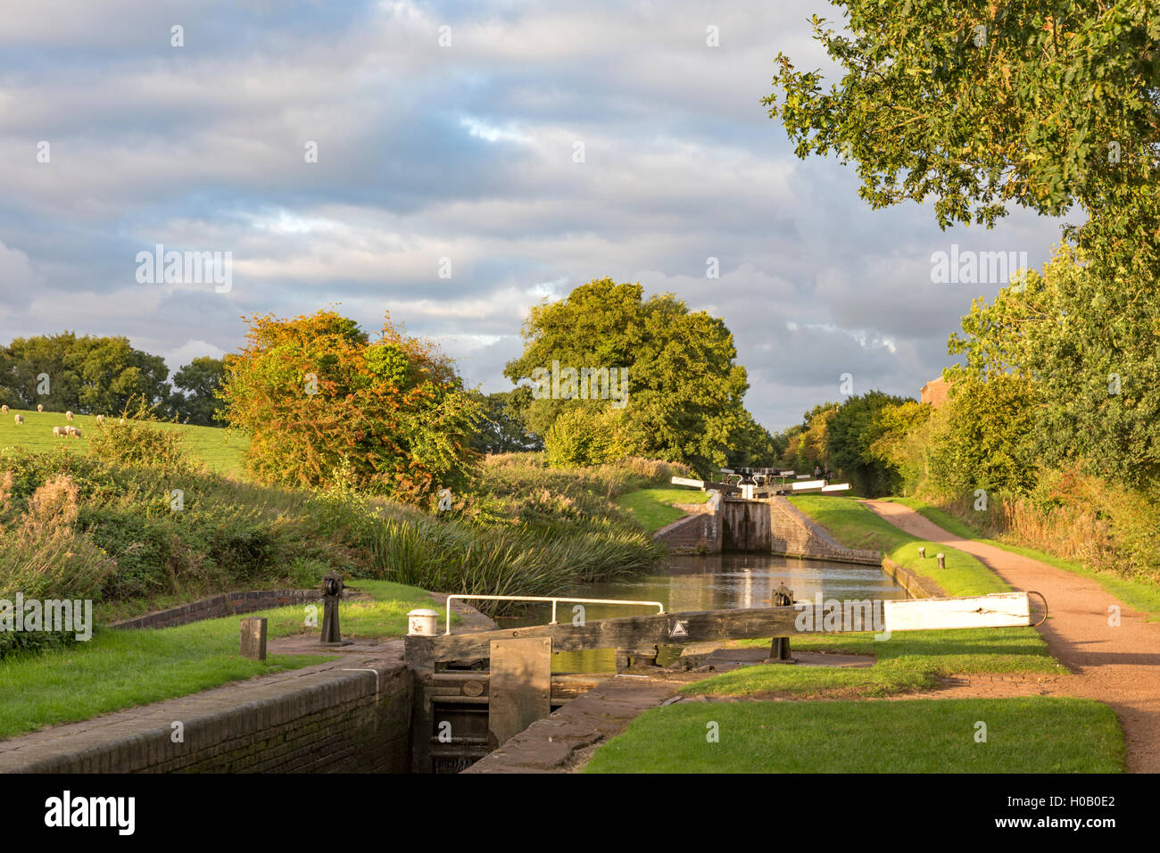 Una serata estati sulla Worcester & Birmingham Canal a serratura Tardebigge volo, Worcestershire, England, Regno Unito Foto Stock