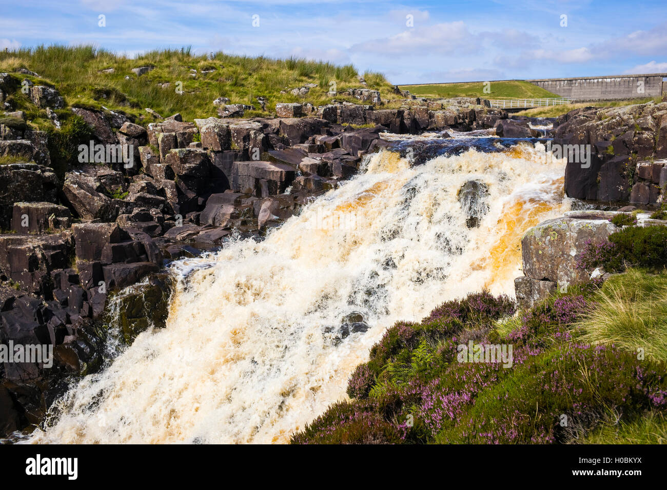 Il raggiunge superiore del Calderone muso cascata, Teesdale Superiore Riserva Naturale Nazionale, Durham, England, Regno Unito Foto Stock