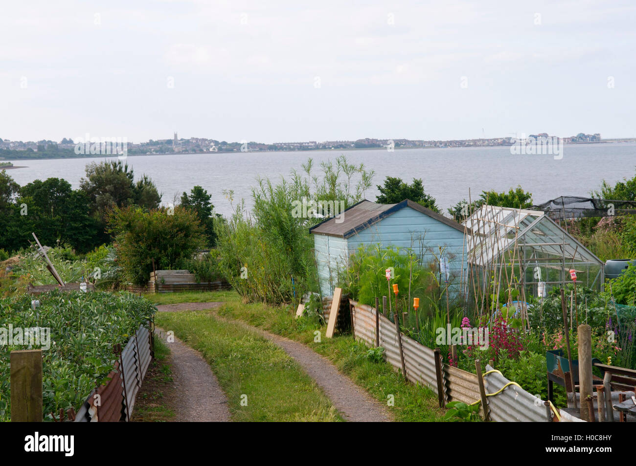 Assegnazioni, Devon, Regno Unito Foto Stock