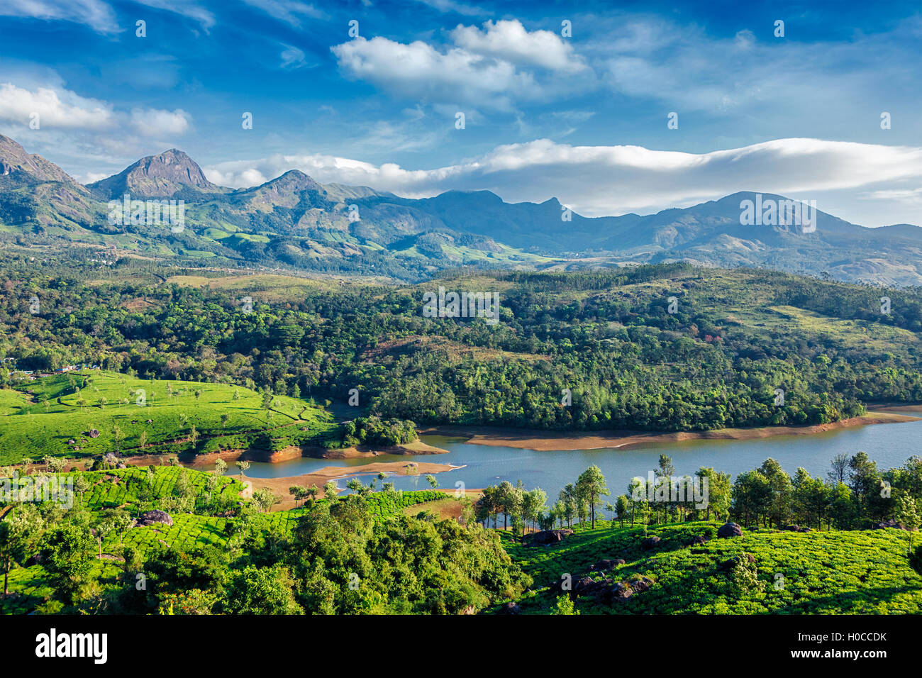 Le piantagioni di tè e il fiume in colline. Il Kerala, India Foto Stock