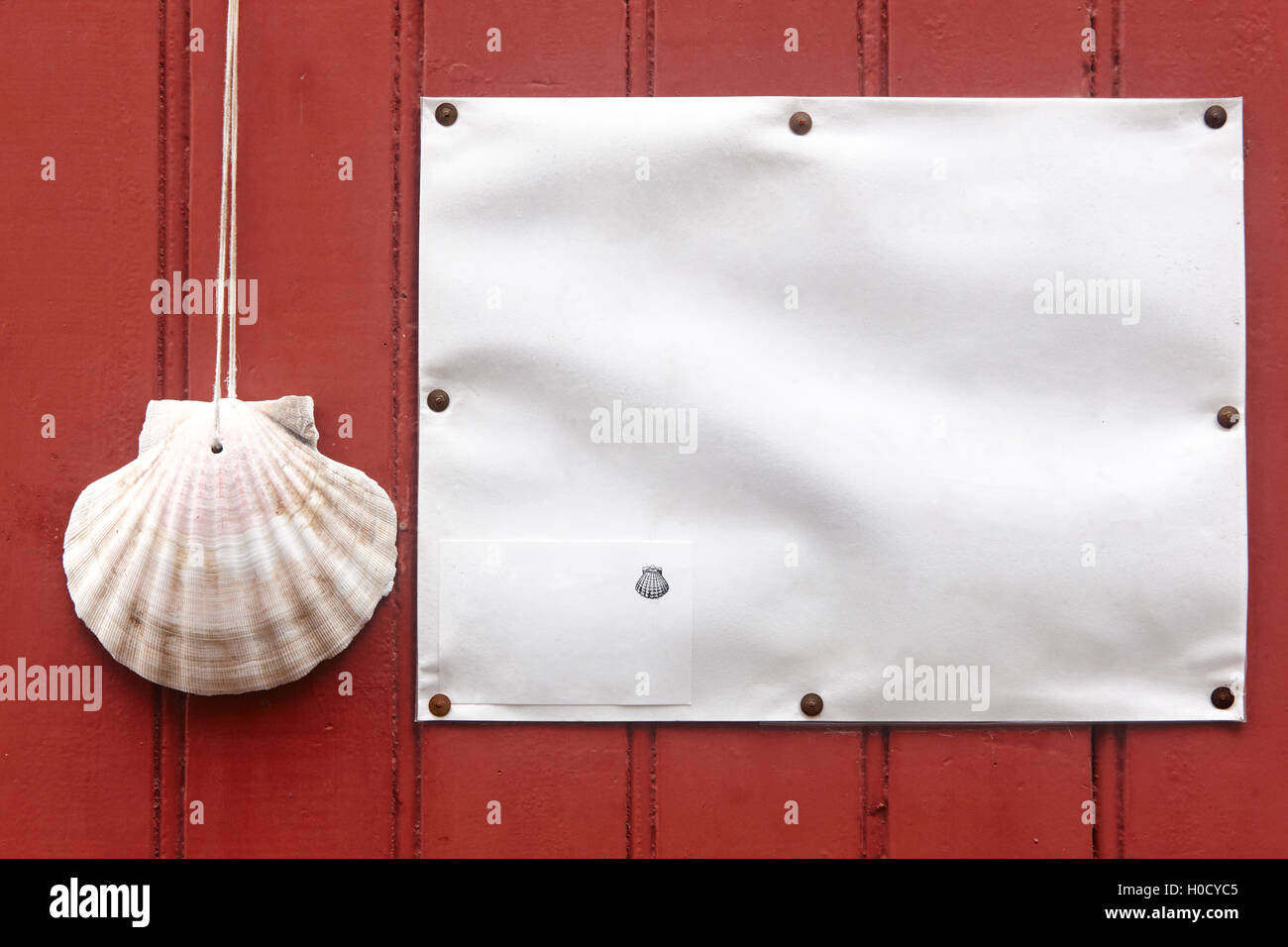 Ostrica guscio in una porta rossa. Modo Santiagos simbolo in Francia Foto Stock