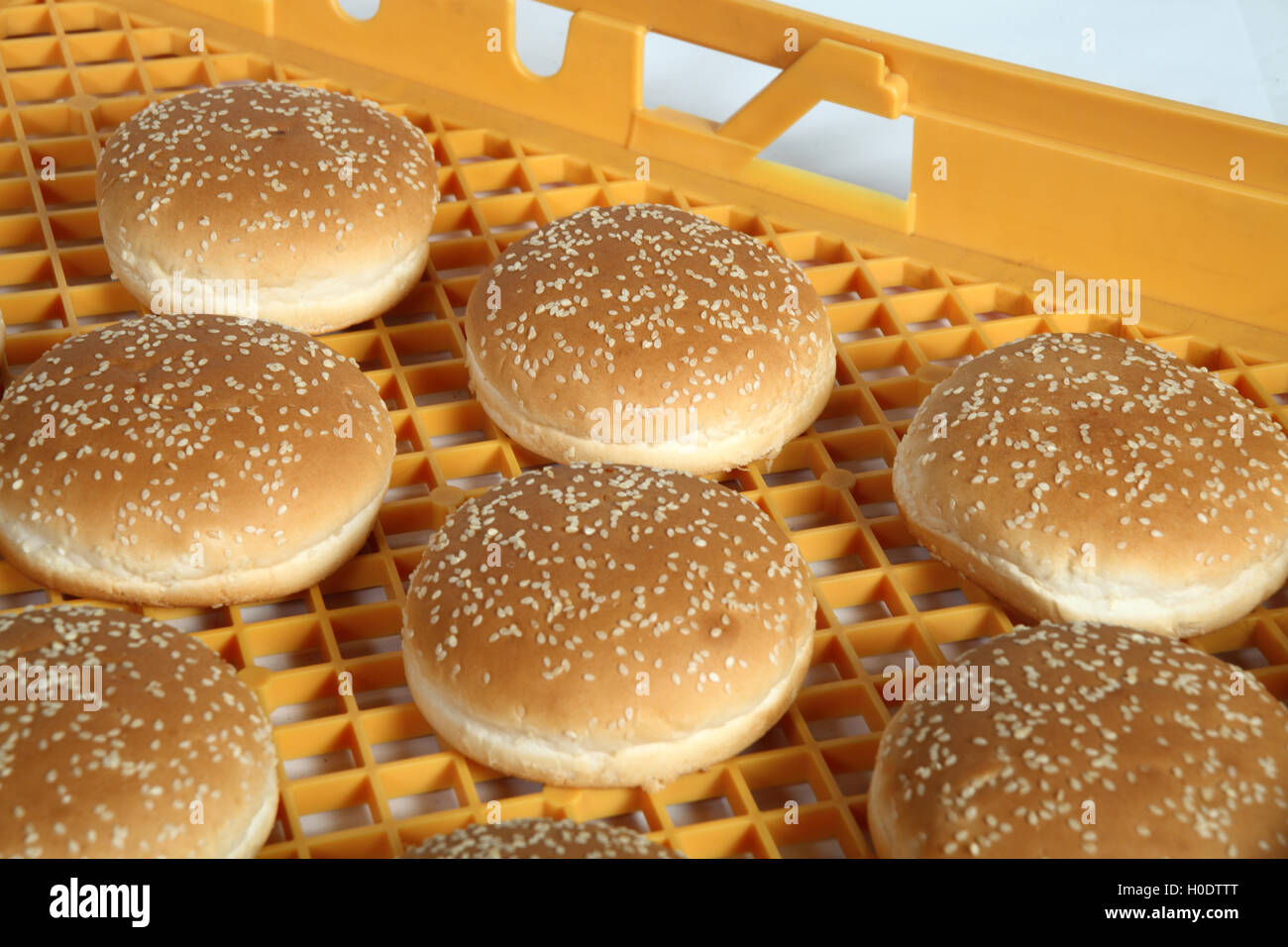 Il pane in cassetta in plastica per il trasporto e la conservazione di prodotti alimentari Foto Stock