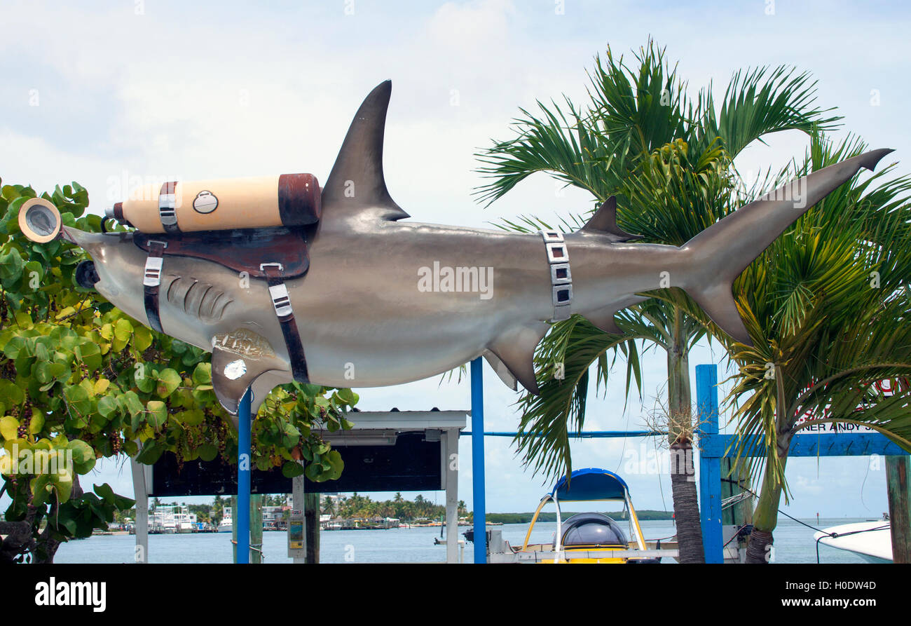 Scuba diving shark in Islamorada Florida Foto Stock