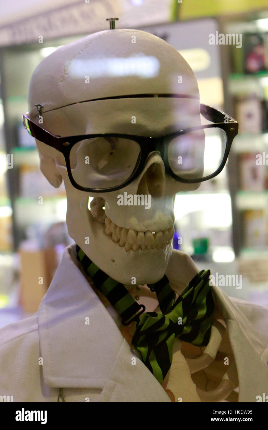 Skelett mit Brille, Berlino. Foto Stock