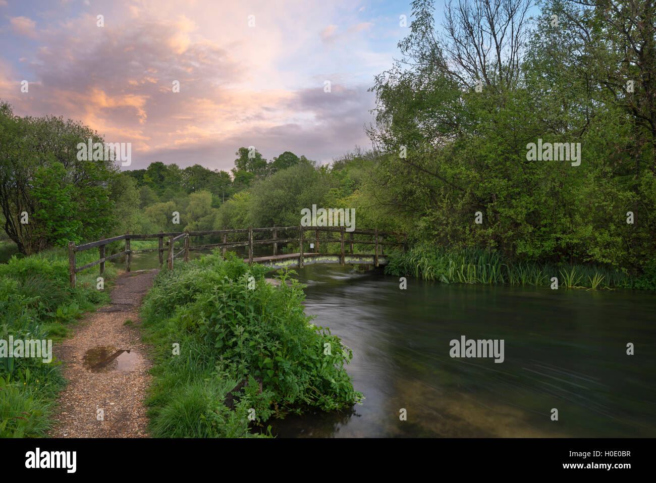 Il fiume Itchen a Ovington. Hampshire. In Inghilterra. Regno Unito Foto Stock