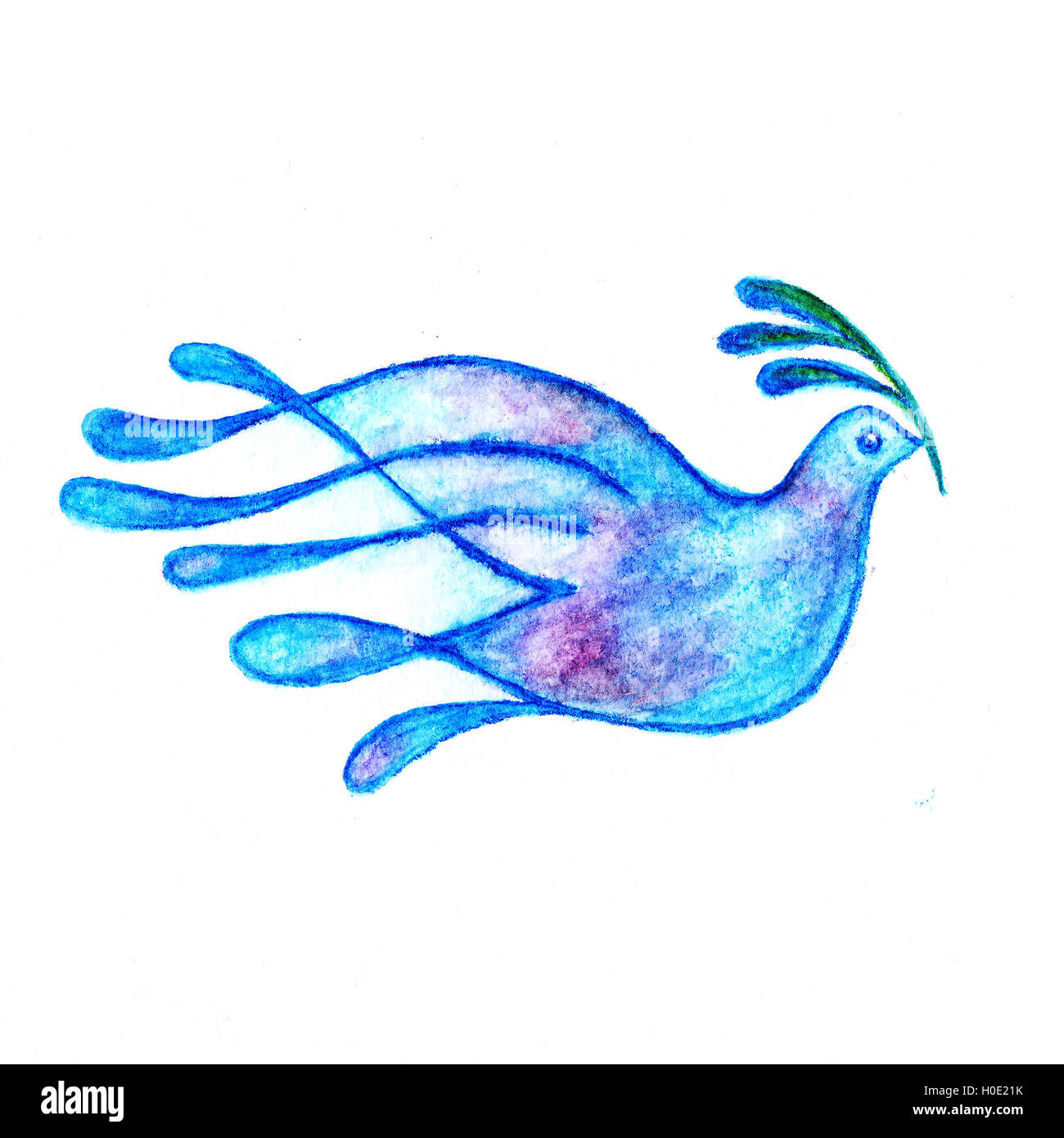 Colomba con ramo di olivo simbolo di pace acquerello disegno matite Foto Stock