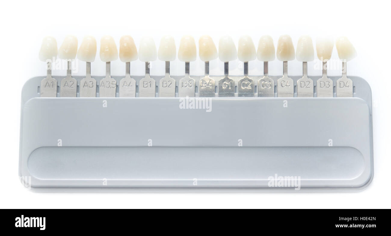 Isolato di close-up della tavolozza per dente a corrispondenza di colore Foto Stock