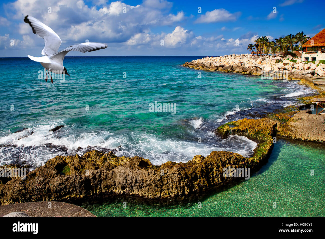 La costa del mare nel parco vicino a Cozumel, Messico Foto Stock
