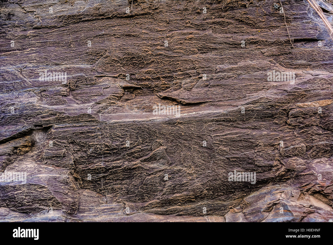 Brown weathered rock background. Superficie di pietra dello sfondo. Vecchia roccia texture. Tessitura della pietra. Foto Stock