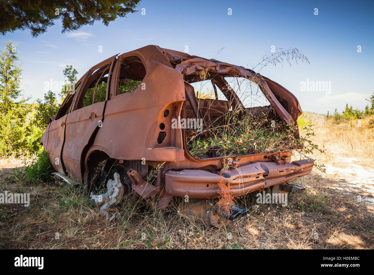 Abbandonato arrugginita corpo vettura con erba crescente all'interno sorge nel giardino estivo Foto Stock