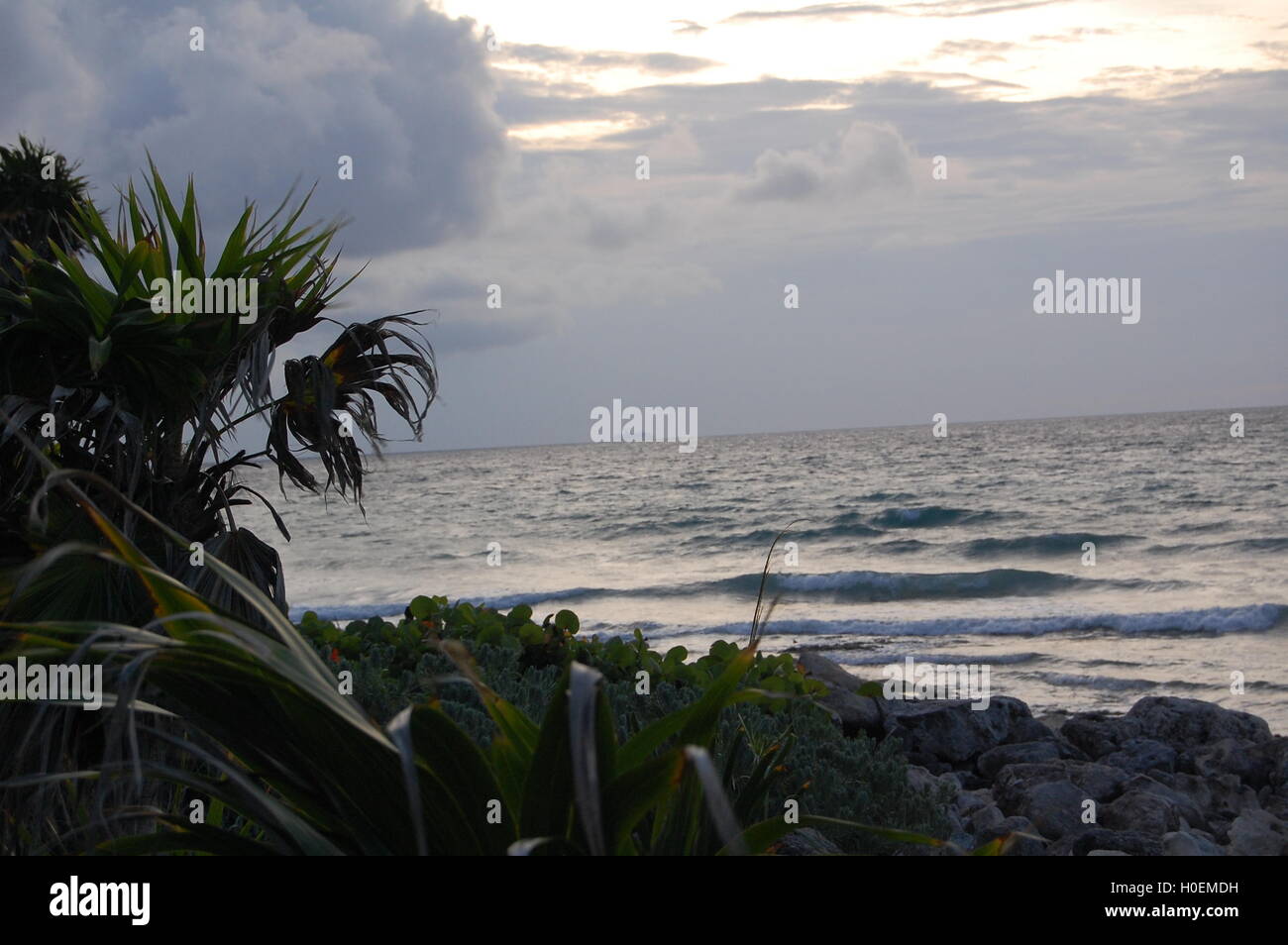 Tramonto a Cancun con nuvole ondulate, onde e fogliame in primo piano e nuvole ondulate nel mezzo e sullo sfondo Foto Stock