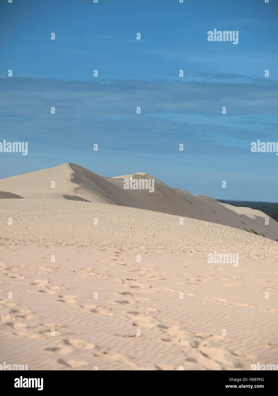 Sulla sommità della duna del Pyla, Arcachon Francia durante l'estate Foto Stock