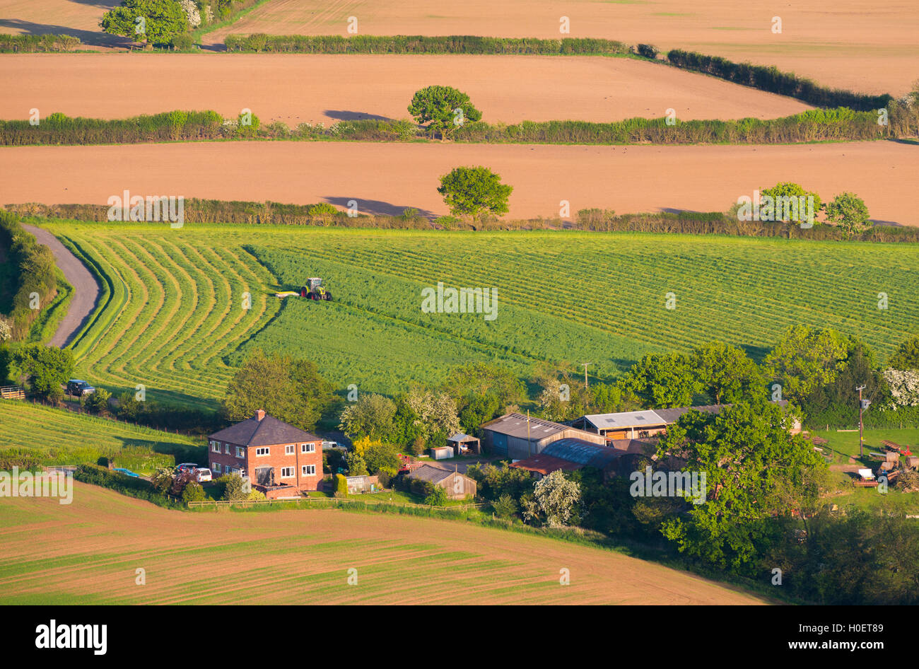 Il trattore lavora in un campo da una fattoria in Shropshire, Inghilterra, Regno Unito. Foto Stock