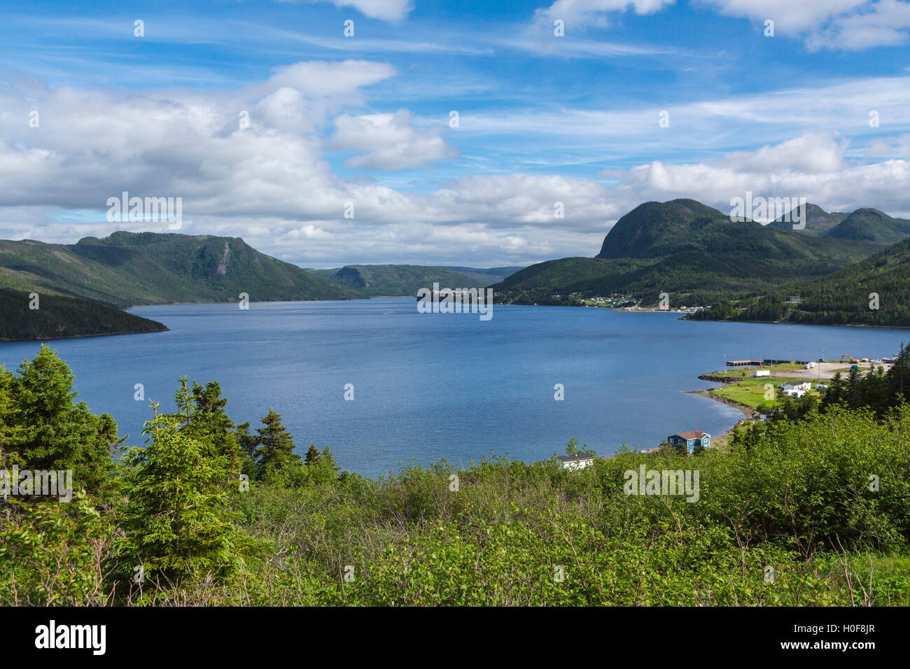 Braccio del sud al punto di Woody, Terranova e Labrador, Canada. Foto Stock