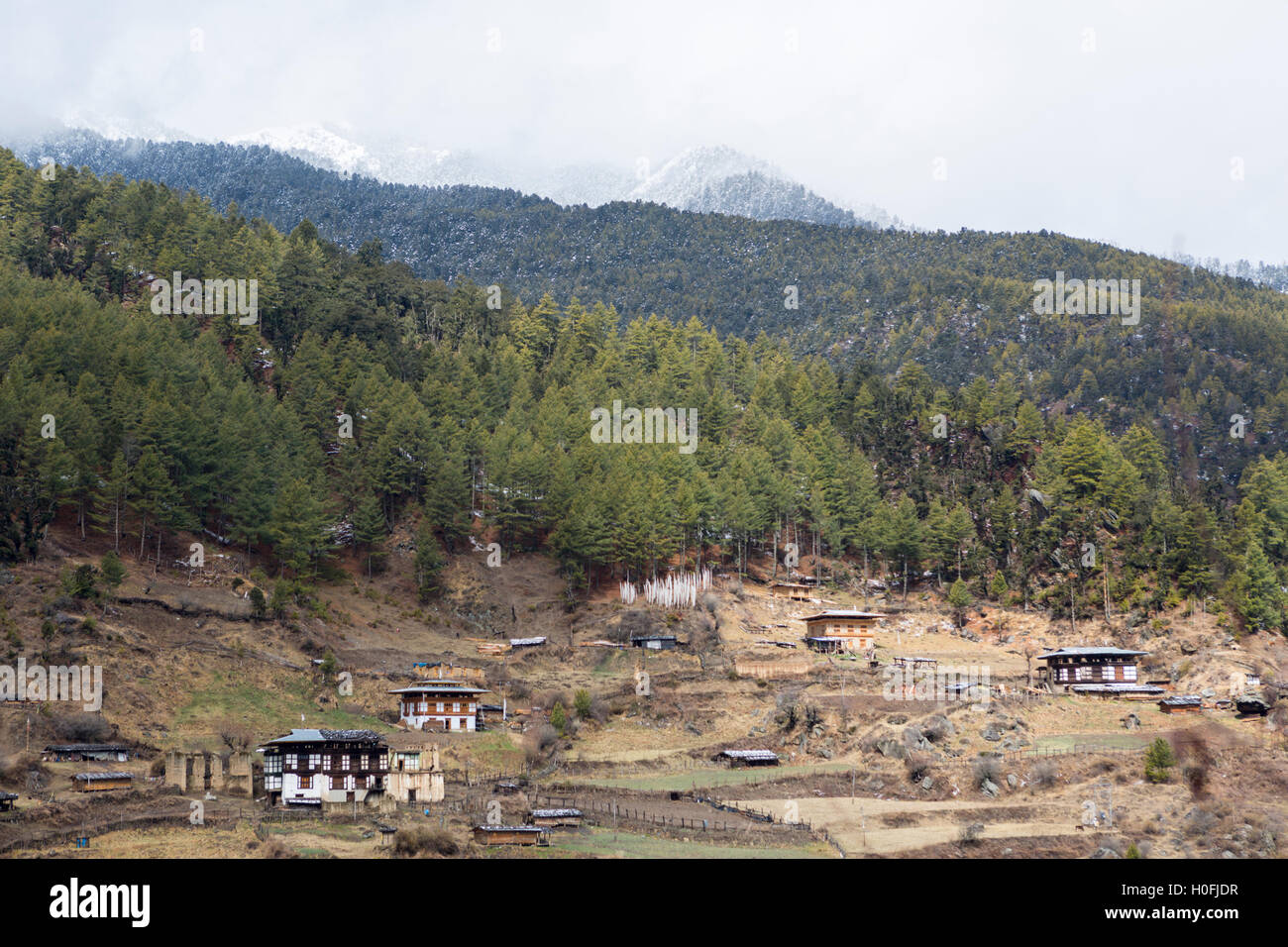 Case coloniche e terreni agricoli nella valle degli HAA, Bhutan, inverno Foto Stock
