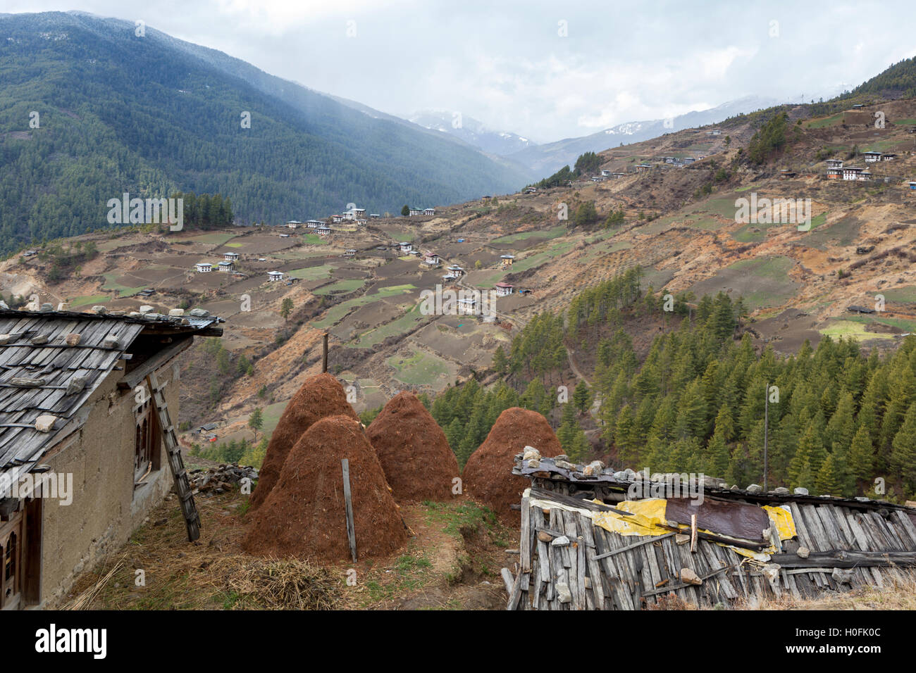 Case coloniche e terreni agricoli nella valle degli HAA, Bhutan, inverno Foto Stock