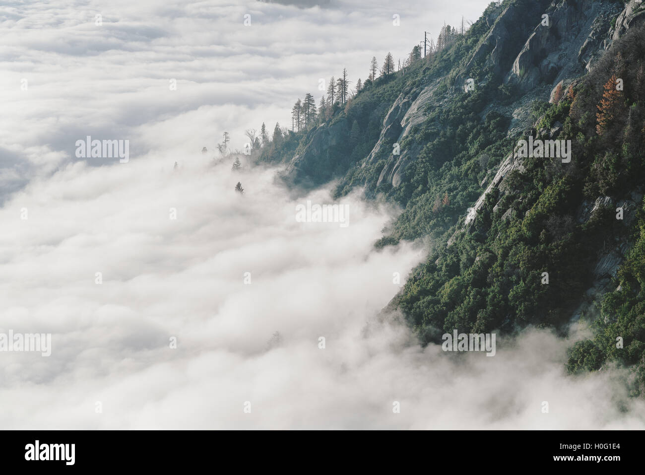 Nuvole di raggiungere la montagna in California's Sequoia National Park Foto Stock