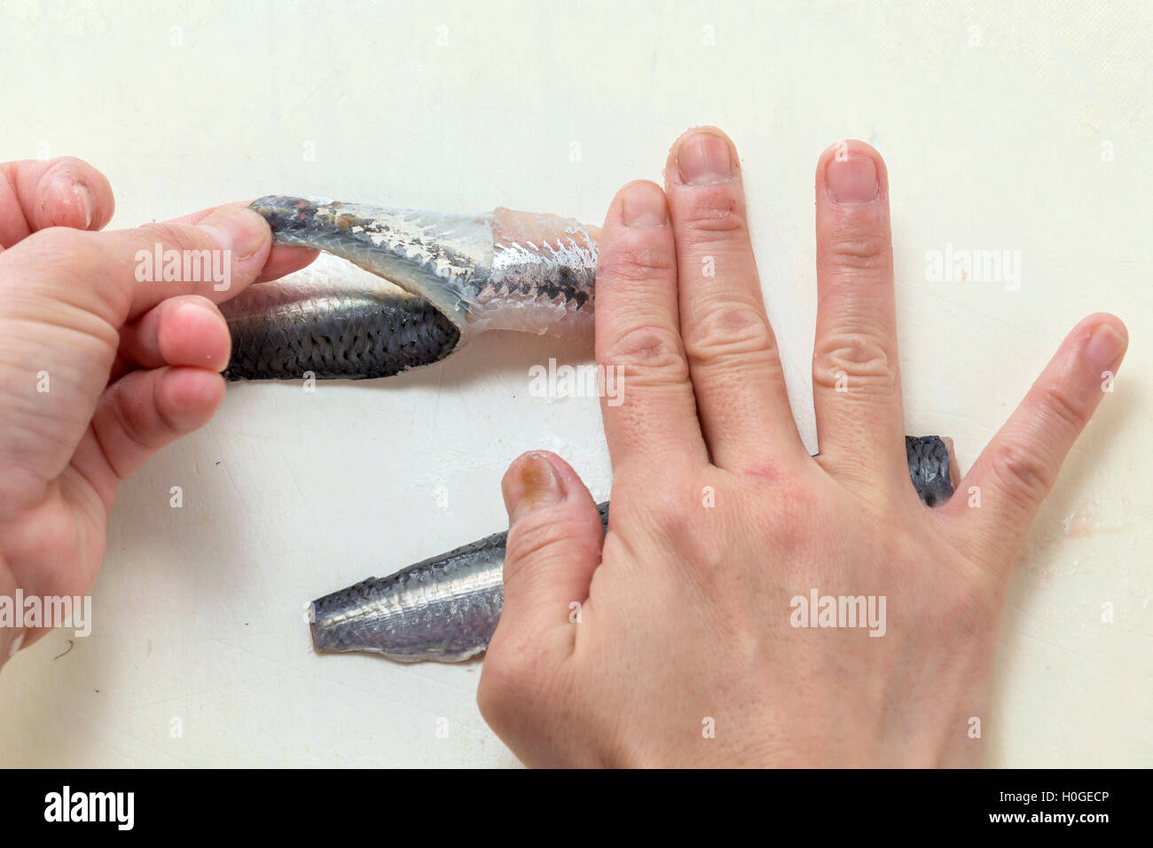 La scuoiatura crudo fresco pesce sardine da mani in cucina Foto Stock