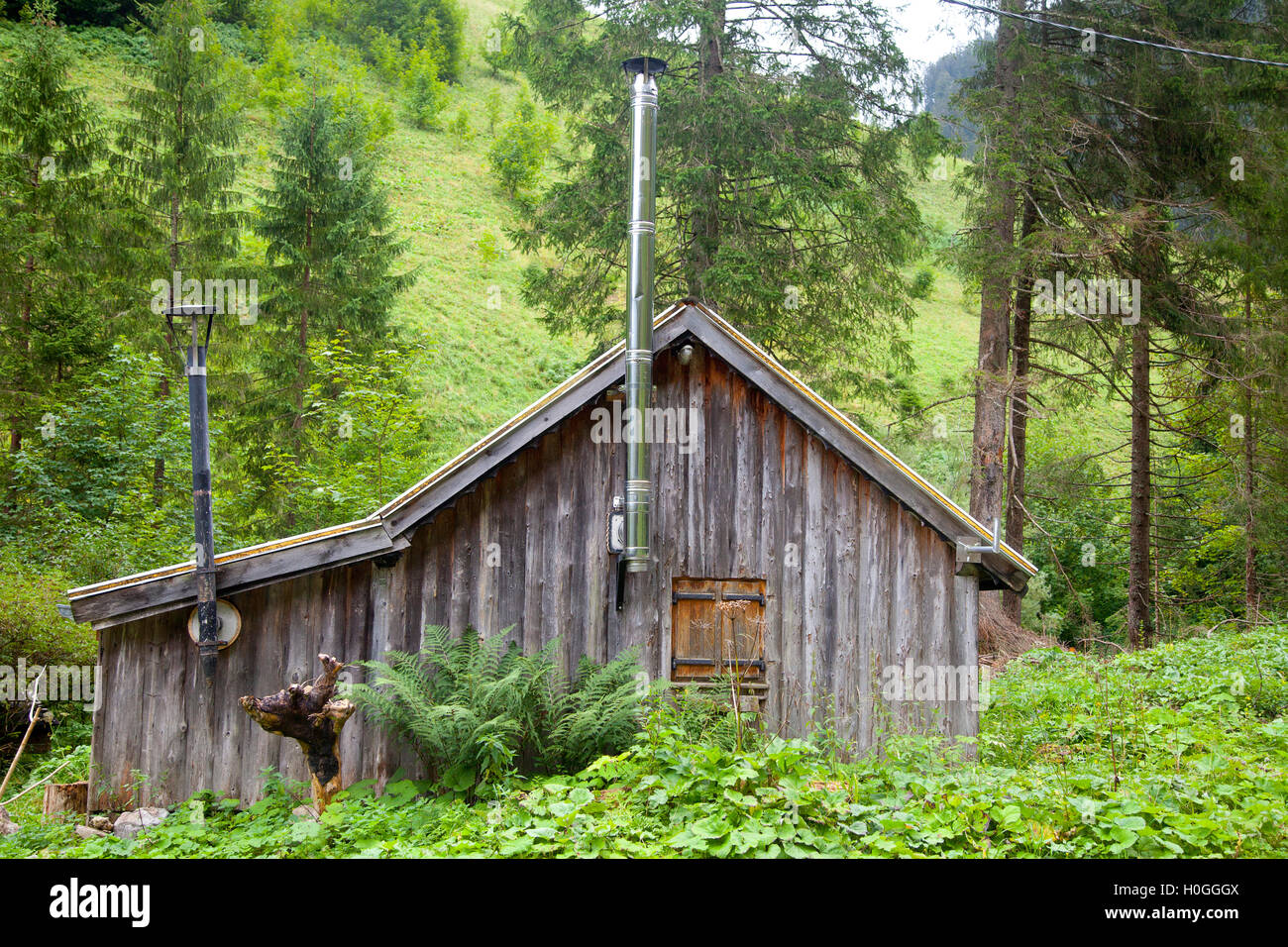 Cabina in legno con la verde montagna in Tirolo, Austria Foto Stock