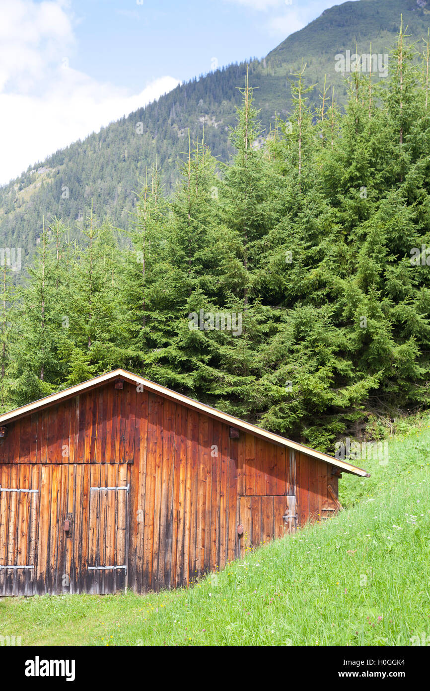 Cabina in legno con la verde montagna in Tirolo, Austria Foto Stock