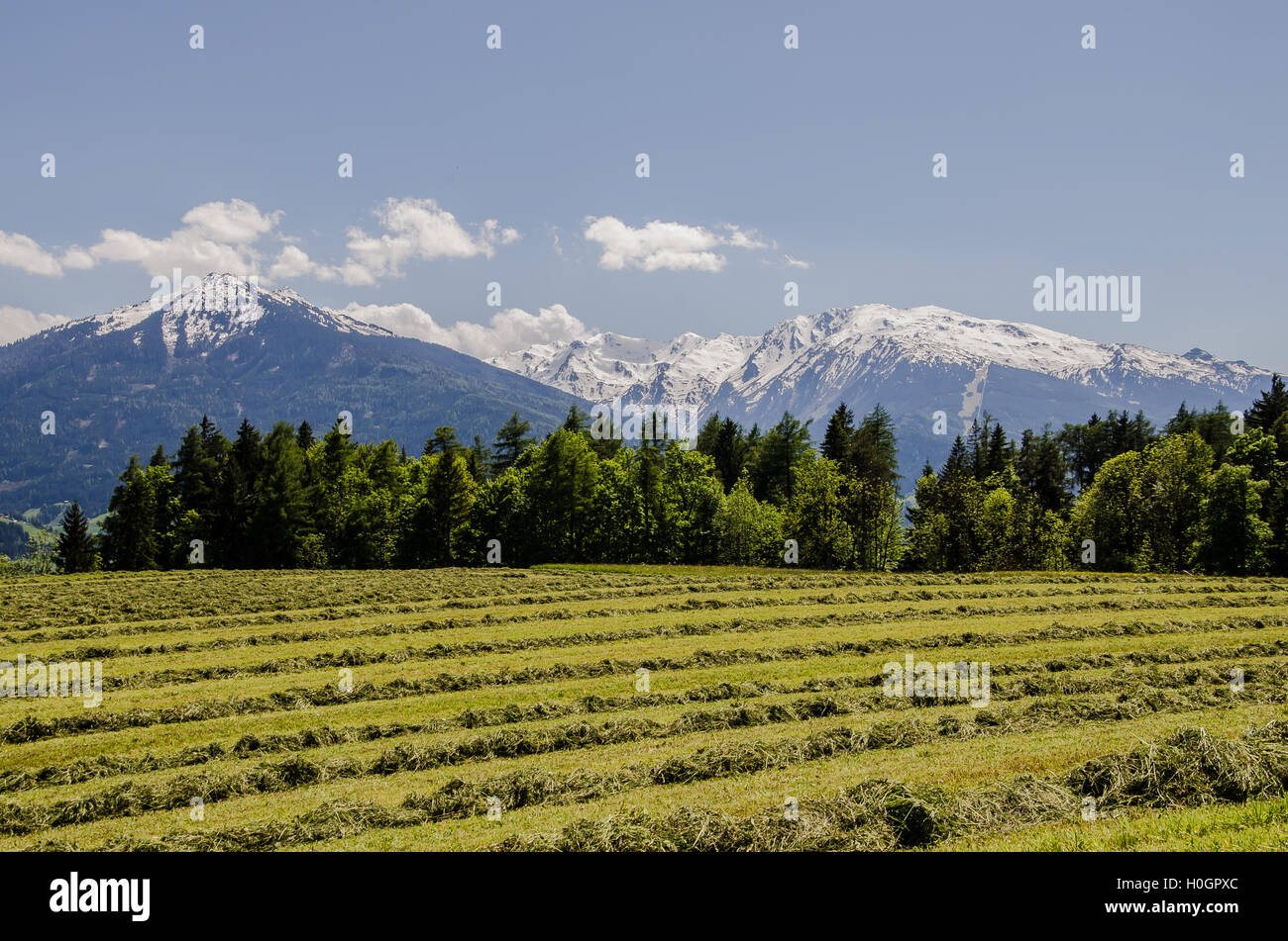 Situato nell'ampia vallata tra la cosiddetta catena del Nord nel Karwendel alpi del nord e del Patscherkofel e Serles a sud. Foto Stock