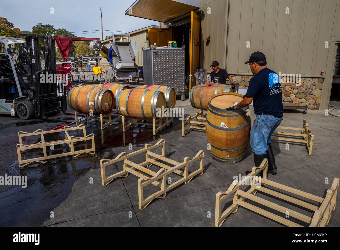 I lavoratori della cantina, pulizia botti da vino, Paraduxx Cantina, Yountville, Napa Valley, California, Stati Uniti, America del Nord Foto Stock