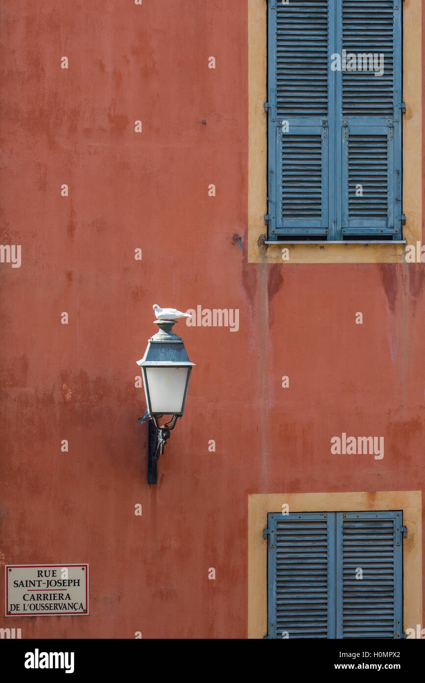 Colomba bianca sul lampione, Nice, Alpes-Maritimes, Costa Azzurra, Francia Foto Stock